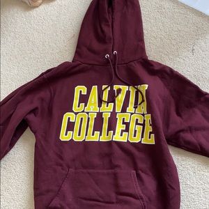 calvin college hoodie